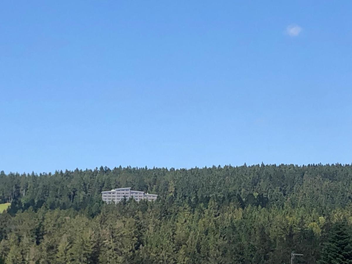 Panorama Bayerwald
