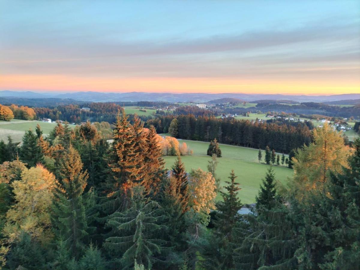 Panorama Bayerwald Apartment Neureichenau